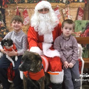 Meet your Posher, Anthony